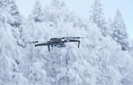 Image by Xavier Turpain from Pixabay